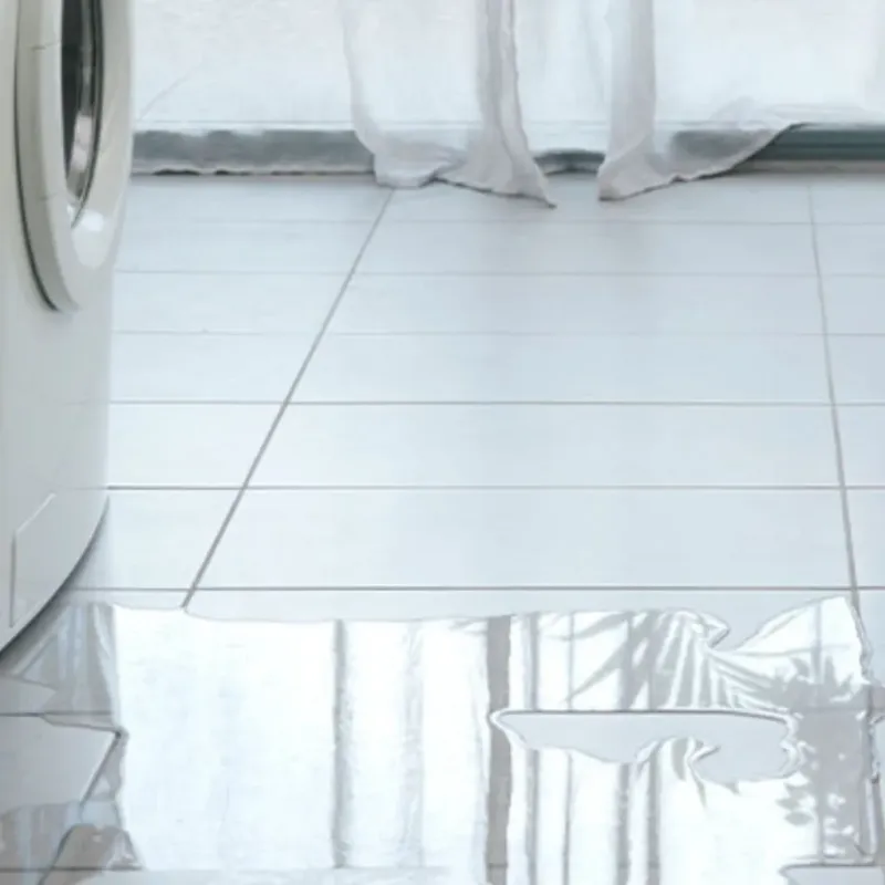 Appliance Leak Cleanup in Grand Blanc, MI